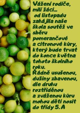 kůra