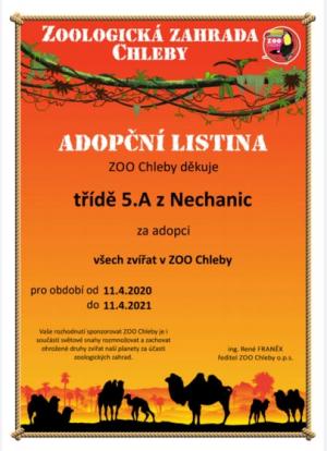 Adopce